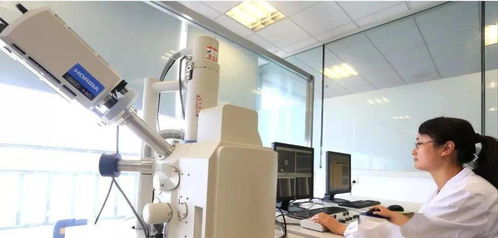 印染界的 犀牛工廠 一體柔性化智造7天快反,一件小單都能接